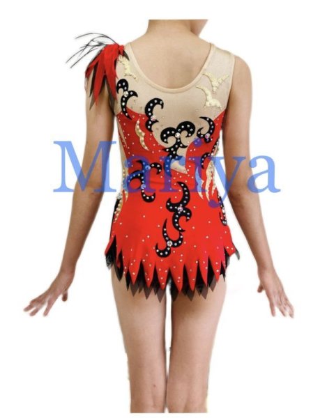 画像4: 新体操レオタード (4)